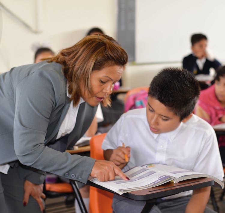 Lineas de educación